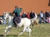 ... jezdecké ukázky Caballos  » Klikněte pro zvětšení ->