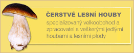 cerstve lesni houby